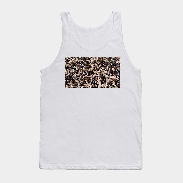 Grape Vine Cordon - Magpie Springs - Adelaide Hills Wine Region - Fleurieu Peninsula - South Australia Tank Top by MagpieSprings